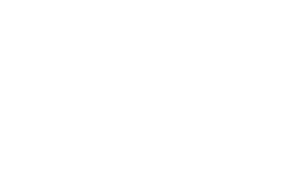 LoWLo Design